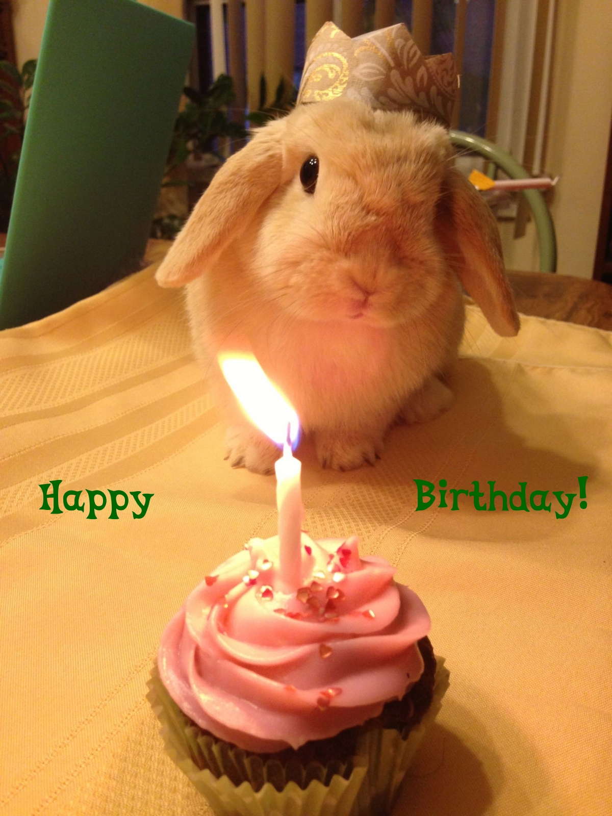 Pictures with names Happy Birthday funny Pictures with names Happy Birthday funny