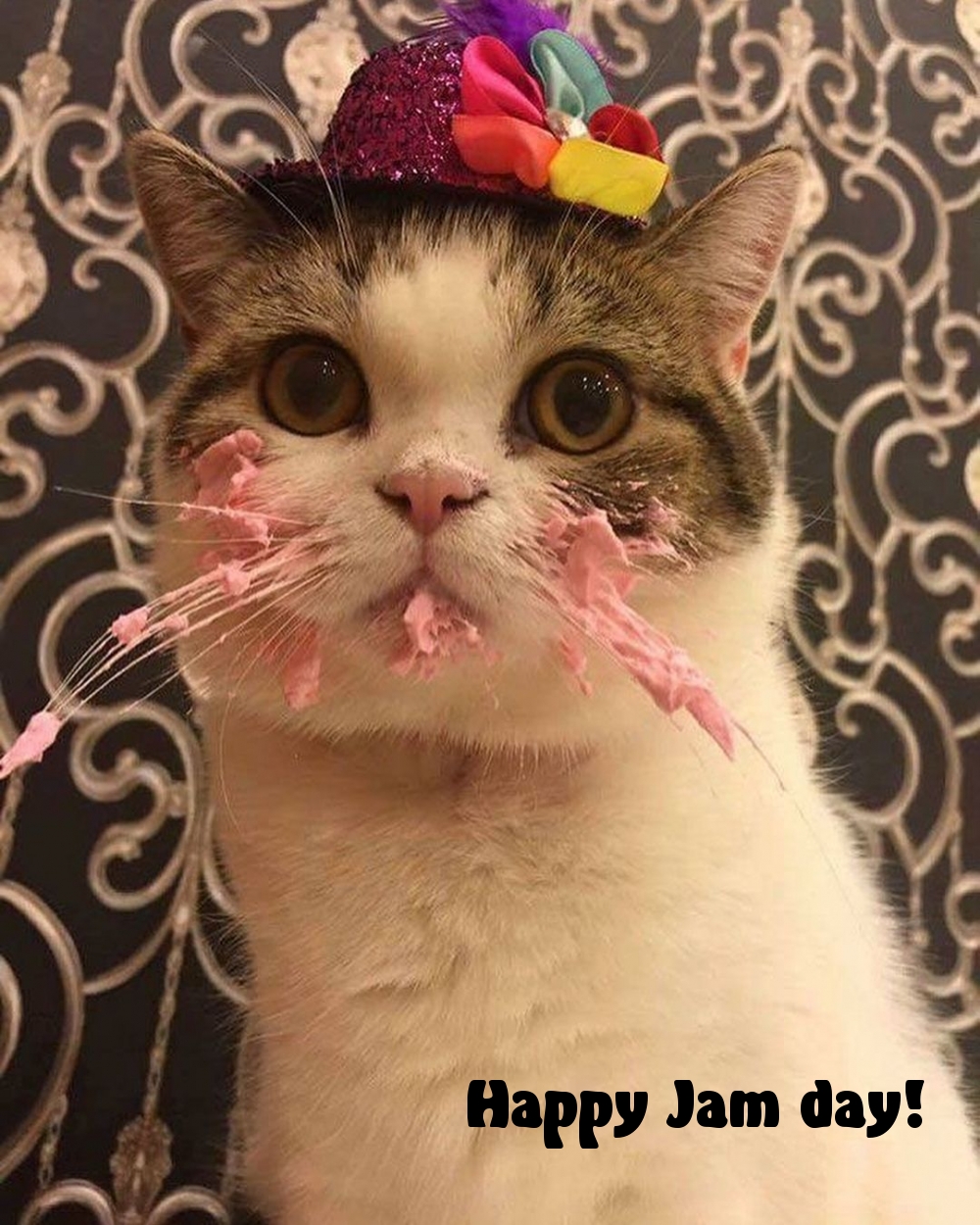 Pictures with names Happy Birthday funny Pictures with names Happy Birthday funny