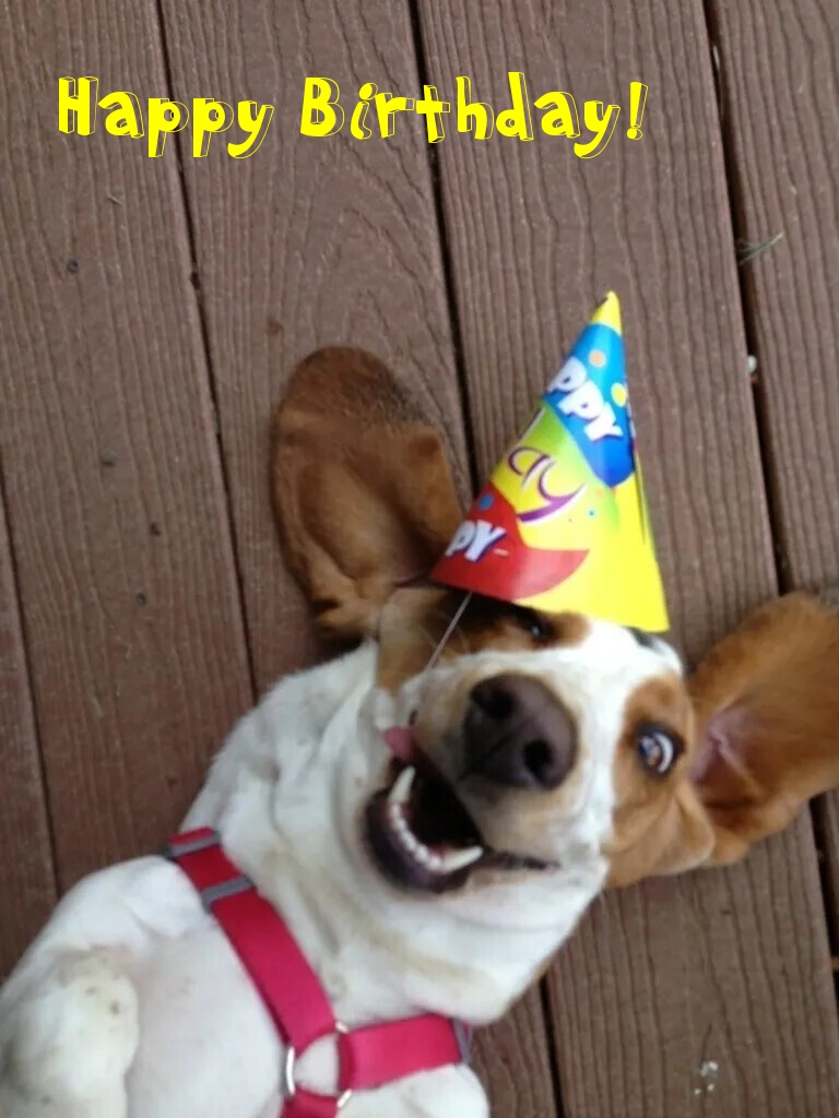 Pictures with names Happy Birthday funny Pictures with names Happy Birthday funny