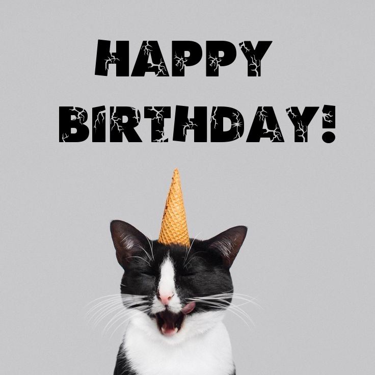 Pictures with names Happy Birthday funny Pictures with names Happy Birthday funny