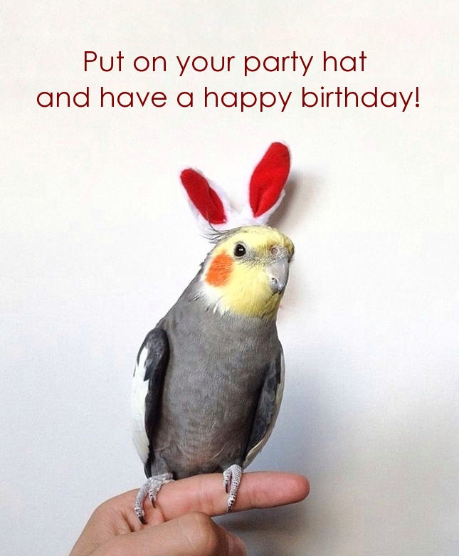 Pictures with names Happy Birthday funny Pictures with names Happy Birthday funny