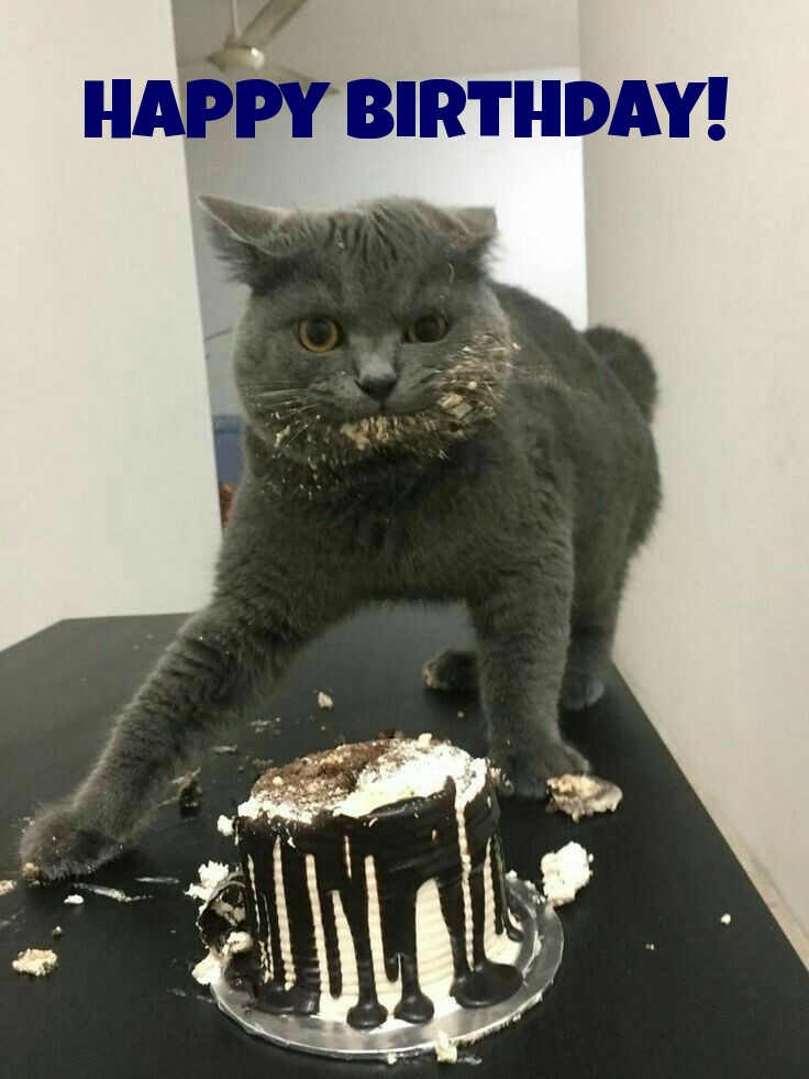 Pictures with names Happy Birthday funny Pictures with names Happy Birthday funny