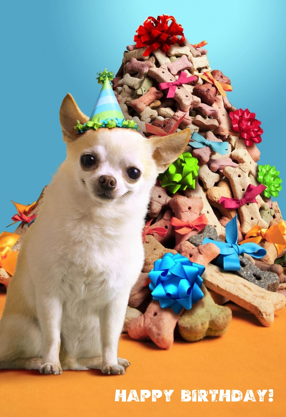 Pictures with names Happy Birthday funny Pictures with names Happy Birthday funny