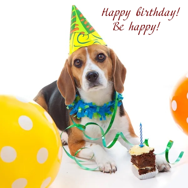 Pictures with names Happy Birthday funny Pictures with names Happy Birthday funny