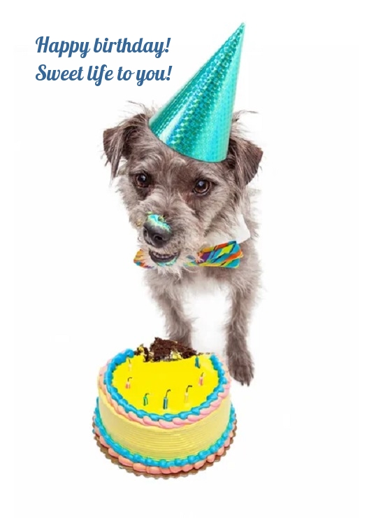 Pictures with names Happy Birthday funny Pictures with names Happy Birthday funny