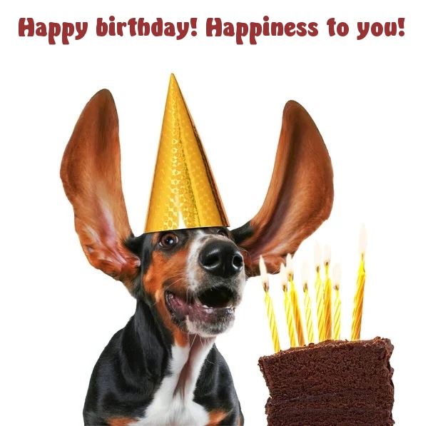 Pictures with names Happy Birthday funny Pictures with names Happy Birthday funny