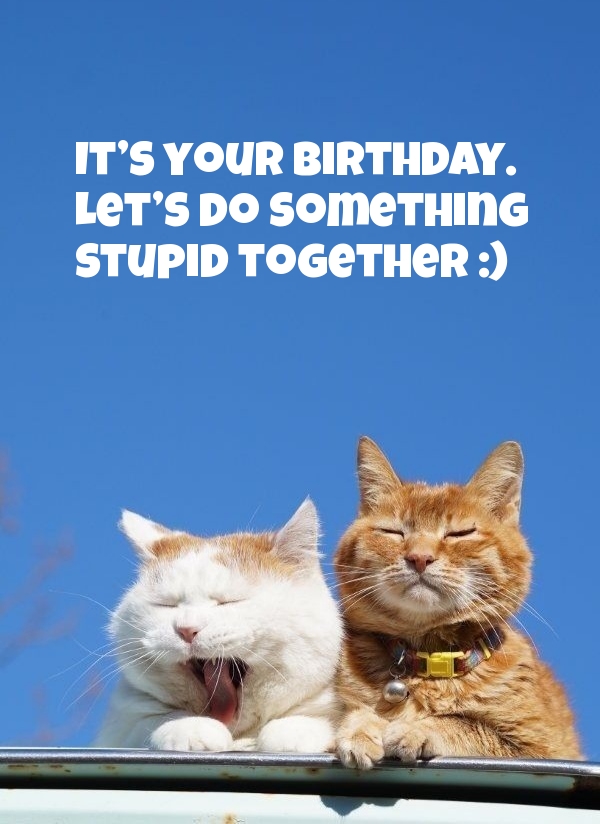 Pictures with names Happy Birthday funny Pictures with names Happy Birthday funny