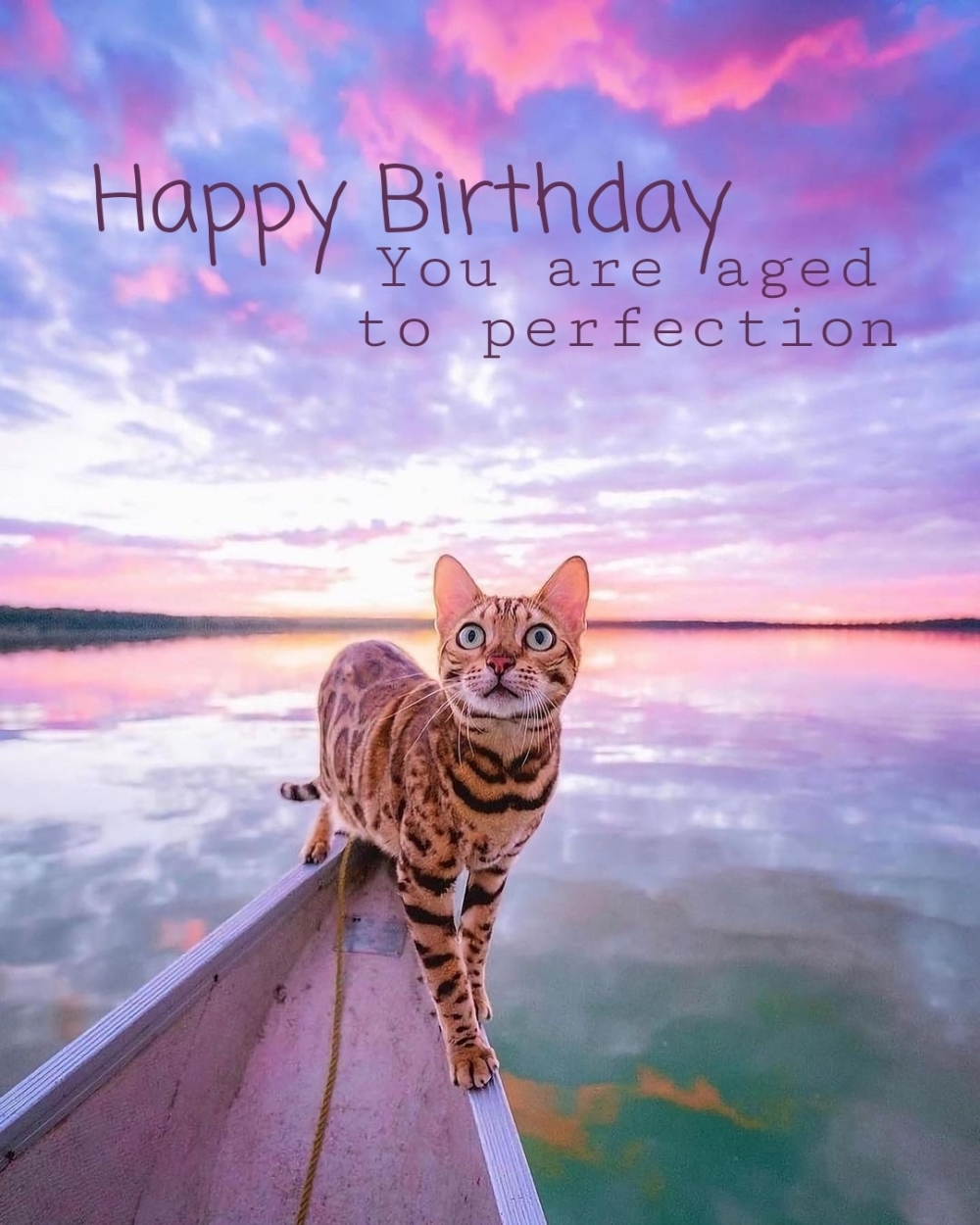 Pictures with names Happy Birthday Woman Pictures with names Happy Birthday Woman