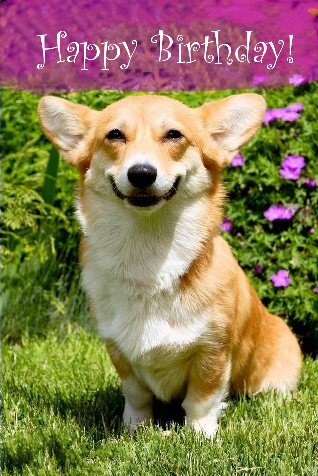 Pictures with names Happy Birthday funny Pictures with names Happy Birthday funny