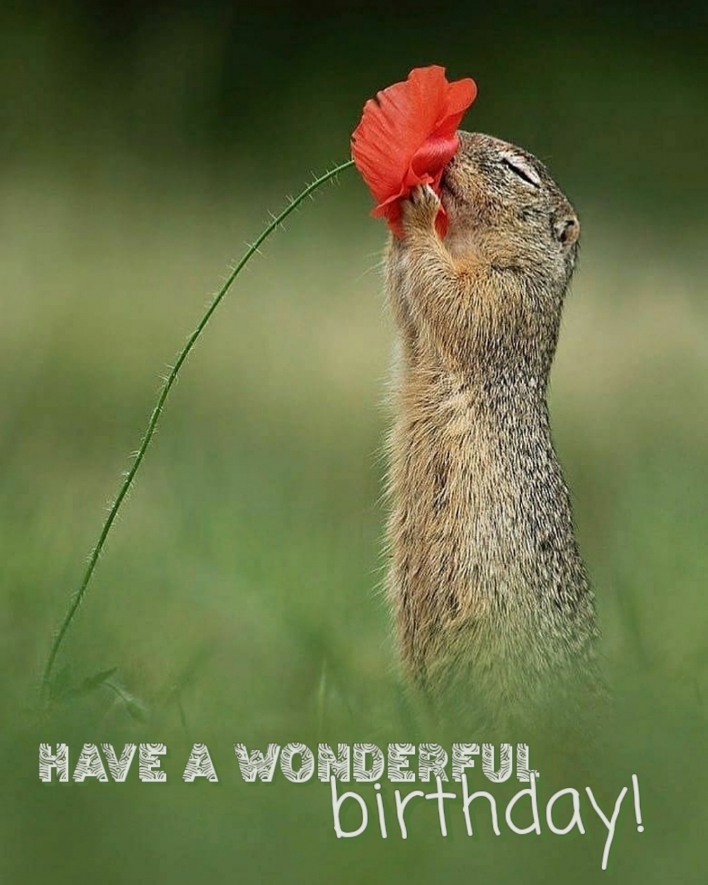 Pictures with names Happy Birthday Man Pictures with names Happy Birthday Man