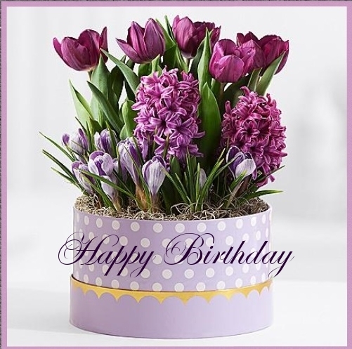 Pictures with names Happy Birthday! Pictures with names Happy Birthday!