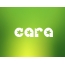 Images names CARA