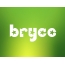 Images names BRYCE