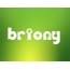 Images names BRIONY