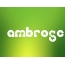 Images names Ambrose
