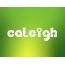 Images names CALEIGH