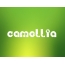 Images names CAMELLIA