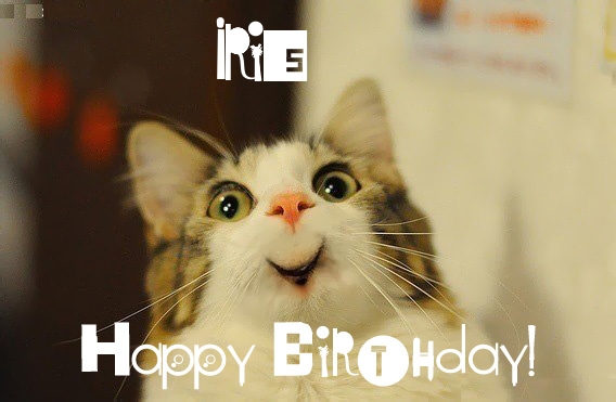 Funny Birthday for Iris Pics