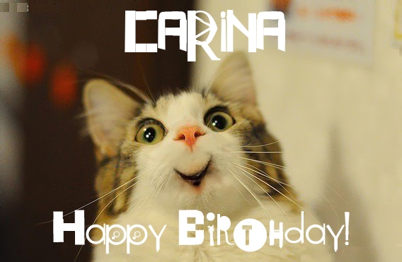 Funny Birthday for CARINA Pics