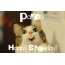 Funny Birthday for Parisa Pics