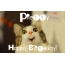 Funny Birthday for Pretty Pics