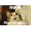 Funny Birthday for ANIMA Pics