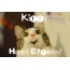 Funny Birthday for Kitty Pics