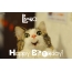 Funny Birthday for Liena Pics