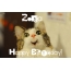 Funny Birthday for Zosja Pics