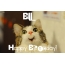 Funny Birthday for BILL Pics