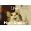 Funny Birthday for Upen Pics