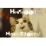 Funny Birthday for Henrietta Pics