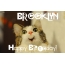 Funny Birthday for BROOKLYN Pics