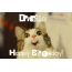 Funny Birthday for Drusilla Pics