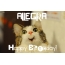 Funny Birthday for ALLEGRA Pics