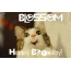 Funny Birthday for BLOSSOM Pics