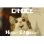 Funny Birthday for CANDICE Pics