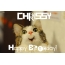 Funny Birthday for CHRISSY Pics