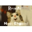 Funny Birthday for Reynard Pics