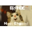 Funny Birthday for BRANDE Pics