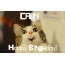 Funny Birthday for CAILIN Pics