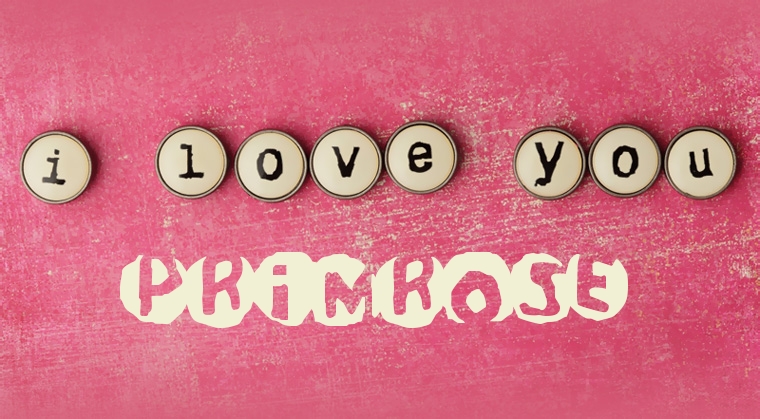 Images I Love You Primrose