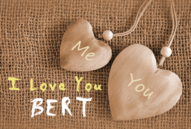 Pics I Love You BERT