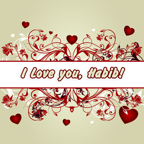 I love you, Habib