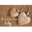 Pics I Love You Lily