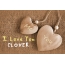 Pics I Love You CLOVER