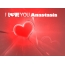 I Love You Anastasia!
