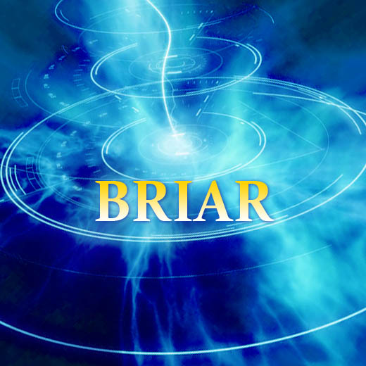 Pictures with name Briar.