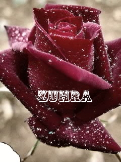 Pictures with pictures_with_names_17.php Zuhra