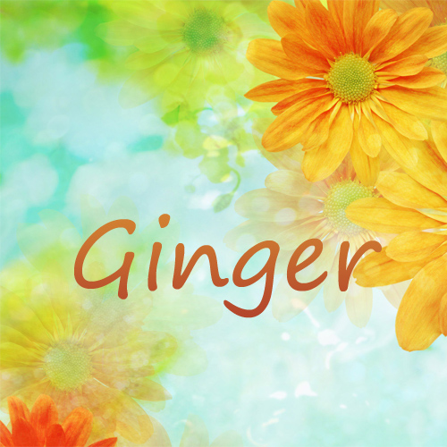 Pictures with name Ginger.